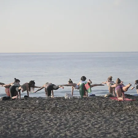 Los Amigos Yoga & Wellness Vandrarhem